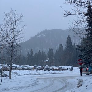 Meet your Posher, Cody